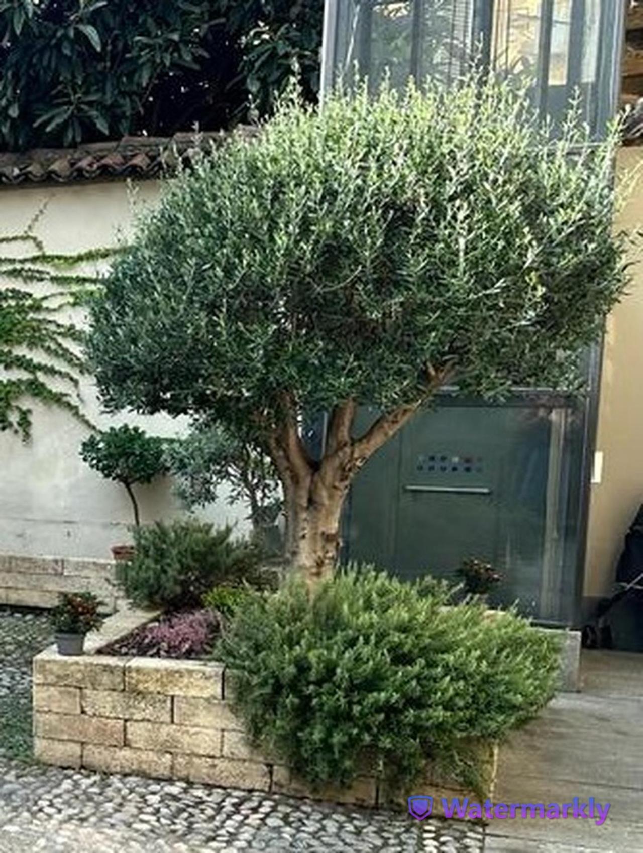 Le Tre Ca', Ca' Cecilia, Ca' Nina, Ca' Vittoria Apartment Asti Exterior photo